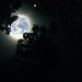 Jerry Floyd Photo 16