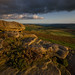 Heather Edge Photo 9