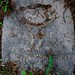 Sarah Potter Photo 14