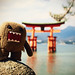 Kun You Photo 7