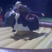 Janet Cox Photo 38