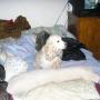 Doris Bush Photo 2
