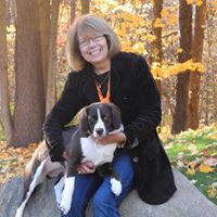 Nancy Horvath Photo 12