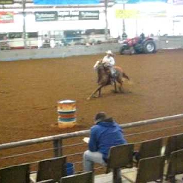 Tracy Mitchell Photo 49