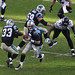 Brian Suggs Photo 24