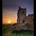 Michael Burrows Photo 28