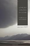 A Shelter In The Time Of Storm: Meditations On God And Trouble