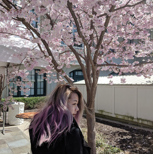 Julia Sun Photo 36