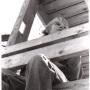 David Hand Photo 17