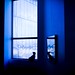 Paul Weisman Photo 21