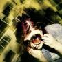 Rachel Laird Photo 14