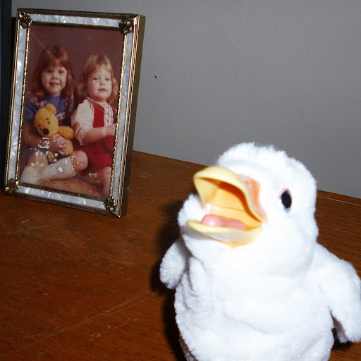 Patricia Potter Photo 29