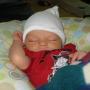 Beth Cook Photo 27
