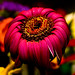 Christie Gerber Photo 10