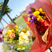 Joann Scott Photo 31
