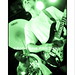 Joseph Osborne Photo 15