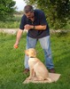 Kevin Wagner Photo 7