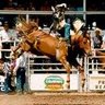 Bryan Hedrick Photo 6