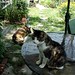 Susan Slate Photo 23