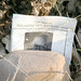 Debbie Bennett Photo 12