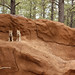 Bryan Wolf Photo 12
