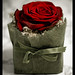 Michele Valentine Photo 32