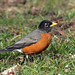 Robin Spaulding Photo 29