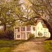Susan Simms Photo 35