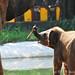 Guang Xiang Photo 12