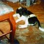Edward Thacker Photo 12