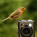 Robin Six Photo 8