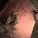 Ellen Hopkins Photo 35