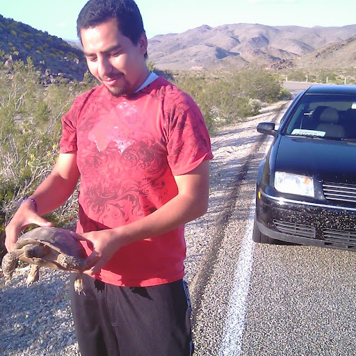 Luis Robles Photo 17