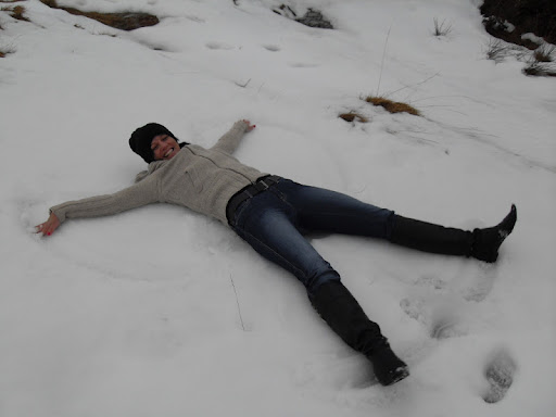 Lisa Willett Photo 38