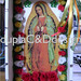 Guadalupe Flores Photo 25