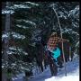 Michael Colbert Photo 11