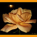 Rose Martinez Photo 23