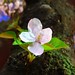 Thuan Trinh Photo 25