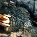 Diane Waters Photo 2