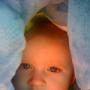 Allen Jewell Photo 11