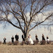 Julie Dunlap Photo 17