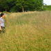 Nicole Fields Photo 18