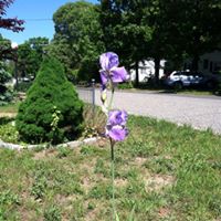 Victoria Walker Photo 8