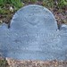Nancy Briggs Photo 36