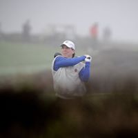 Steven Gross Photo 37