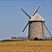 Carl Michel Photo 16
