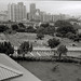 Ming Kwong Photo 4