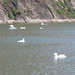 Tracy Frederick Photo 16