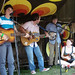Elizabeth Hanlon Photo 8