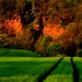 Cliff Fielding Photo 9